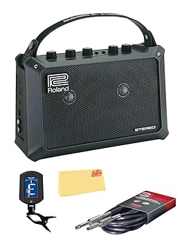Amazon.com: Roland Mobile Cube Battery-Powered Stereo Amp